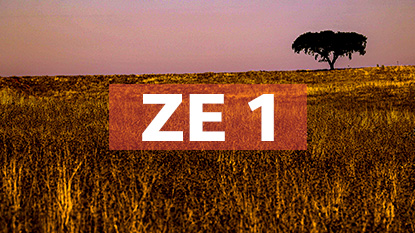 ZE-1